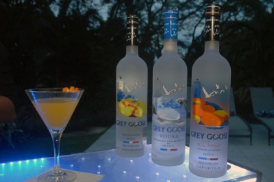 DRINKS-BY-GREY-GOOSE
